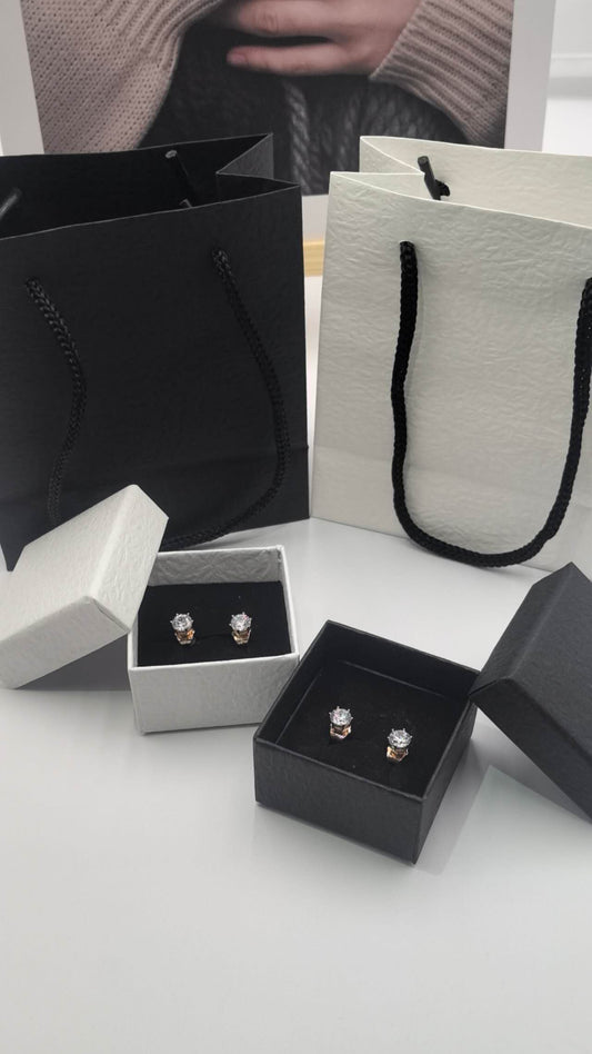 Eternal Twin Sparkle Earrings